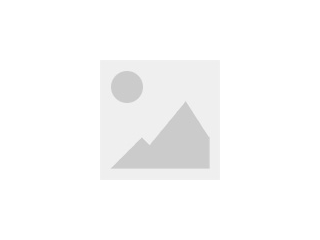 懸臂式機(jī)器人噴涂